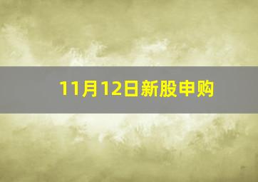 11月12日新股申购