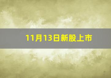 11月13日新股上市