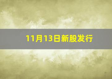 11月13日新股发行