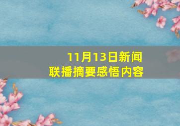 11月13日新闻联播摘要感悟内容