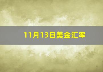 11月13日美金汇率