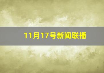 11月17号新闻联播