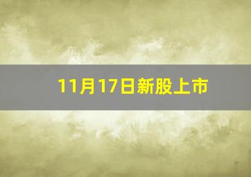 11月17日新股上市