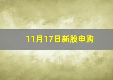 11月17日新股申购