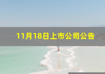 11月18日上市公司公告