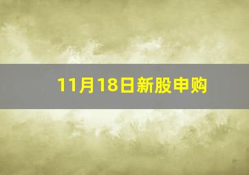 11月18日新股申购