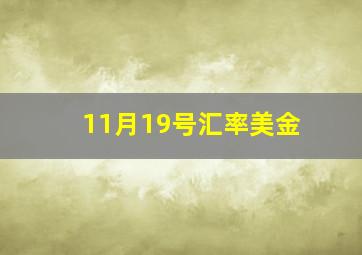 11月19号汇率美金