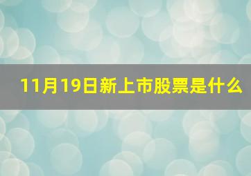 11月19日新上市股票是什么