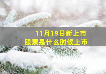 11月19日新上市股票是什么时候上市