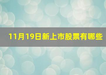 11月19日新上市股票有哪些