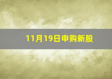 11月19日申购新股