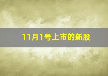 11月1号上市的新股