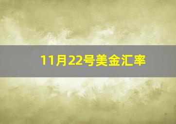 11月22号美金汇率