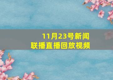 11月23号新闻联播直播回放视频