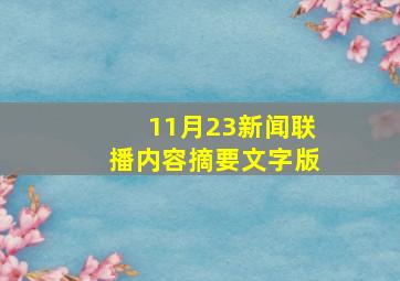 11月23新闻联播内容摘要文字版