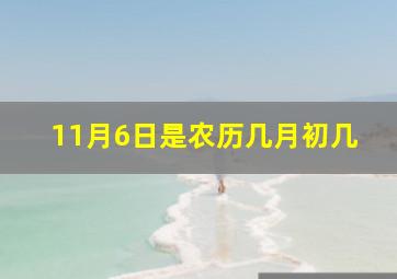 11月6日是农历几月初几