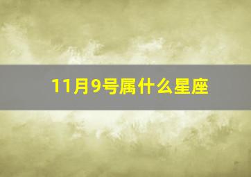 11月9号属什么星座