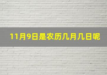 11月9日是农历几月几日呢