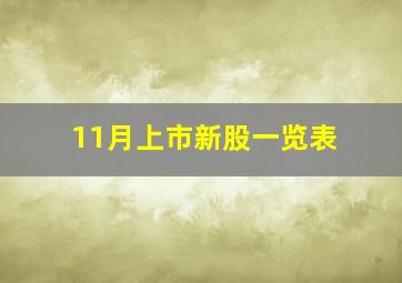 11月上市新股一览表