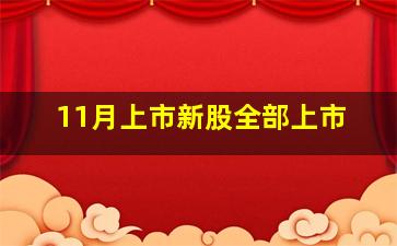 11月上市新股全部上市