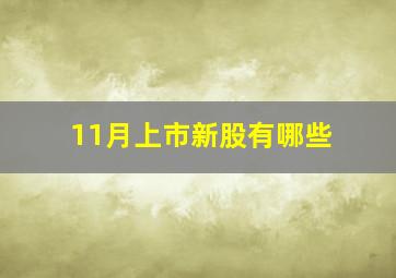 11月上市新股有哪些