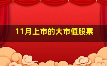 11月上市的大市值股票