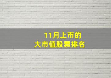 11月上市的大市值股票排名