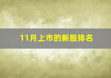 11月上市的新股排名