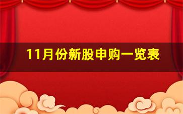 11月份新股申购一览表