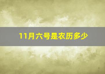 11月六号是农历多少