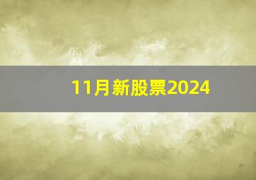 11月新股票2024