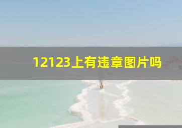 12123上有违章图片吗