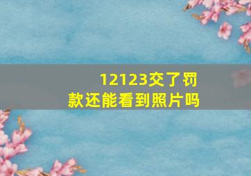 12123交了罚款还能看到照片吗