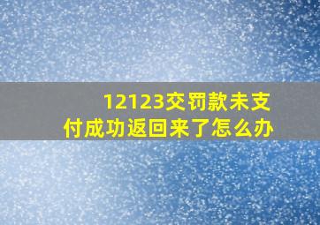 12123交罚款未支付成功返回来了怎么办