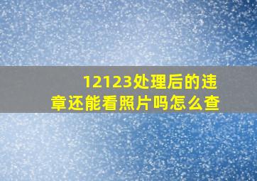 12123处理后的违章还能看照片吗怎么查