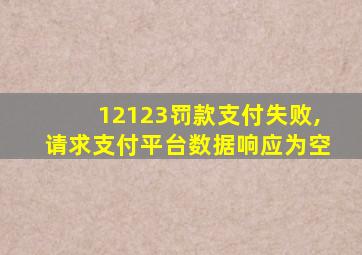 12123罚款支付失败,请求支付平台数据响应为空