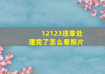 12123违章处理完了怎么看照片