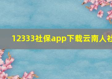 12333社保app下载云南人社