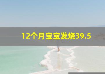 12个月宝宝发烧39.5