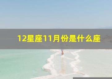 12星座11月份是什么座