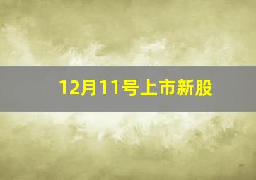 12月11号上市新股