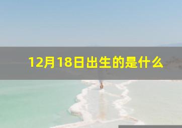 12月18日出生的是什么