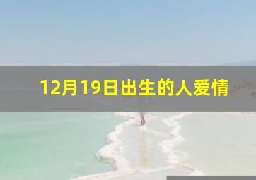 12月19日出生的人爱情