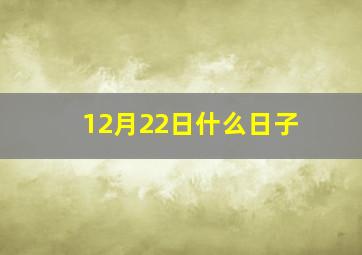 12月22日什么日子