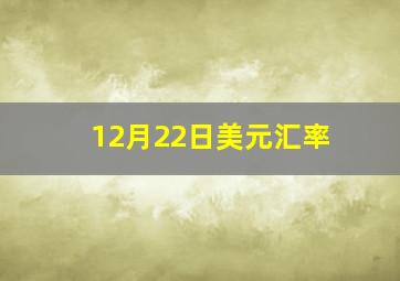 12月22日美元汇率