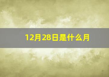 12月28日是什么月