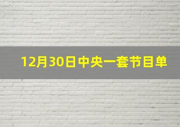 12月30日中央一套节目单