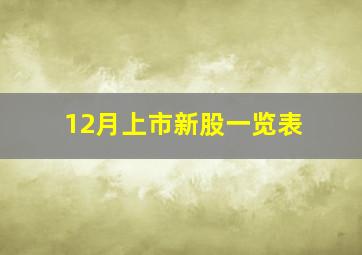 12月上市新股一览表