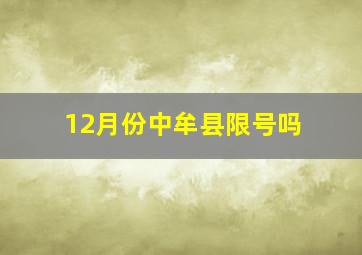 12月份中牟县限号吗