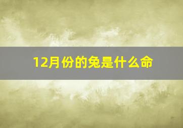 12月份的兔是什么命